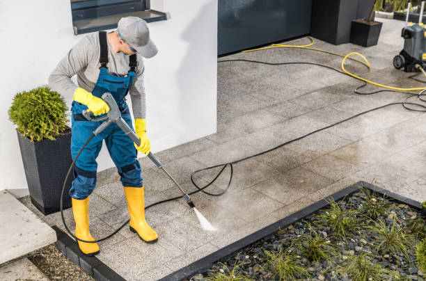 Best Power Washing Near Me  in Plum Grove, TX